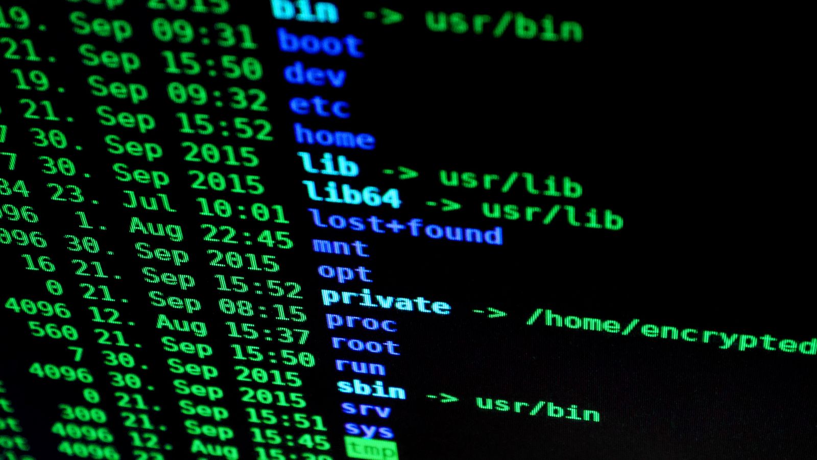 A green directory listing on a black terminal screen, representing Claude Code slash commands
