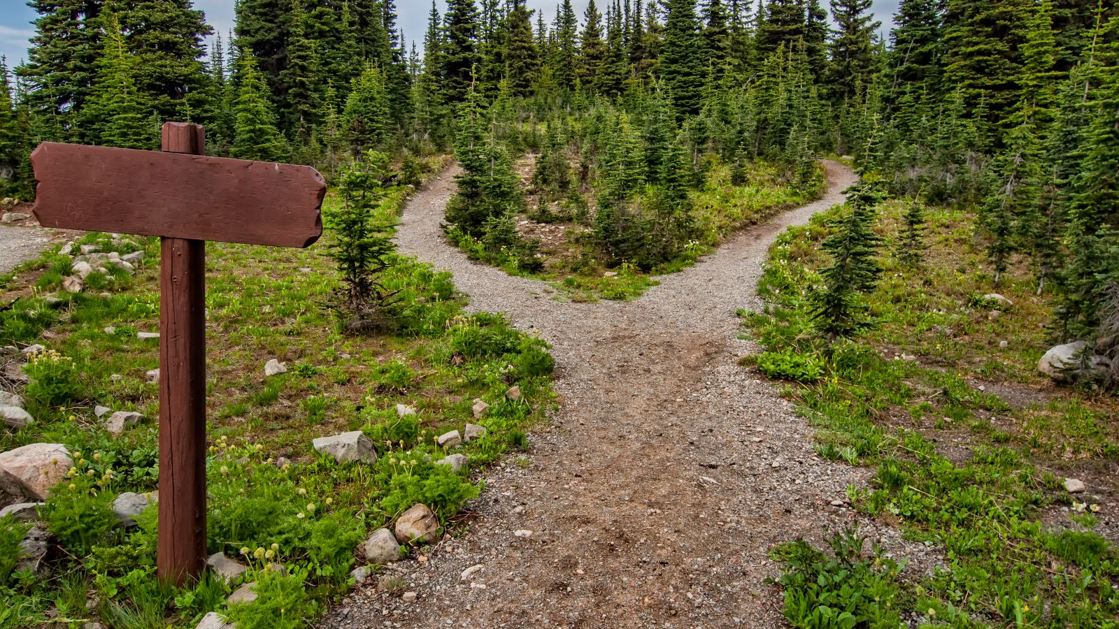 A forked dirt trail with a wooden signpost in a forest, marking a choice between two paths