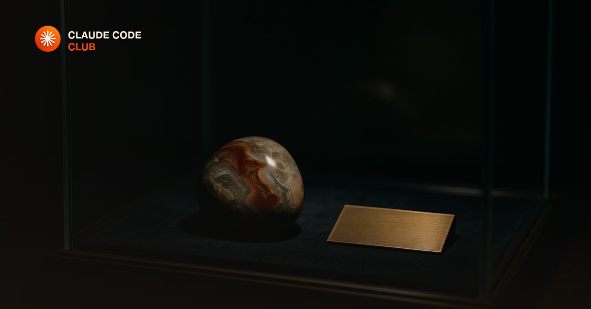A dark museum vitrine holding a single polished stone specimen beside a blank brass plaque under a directional spotlight