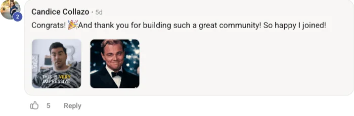 Review from Candice Collazo